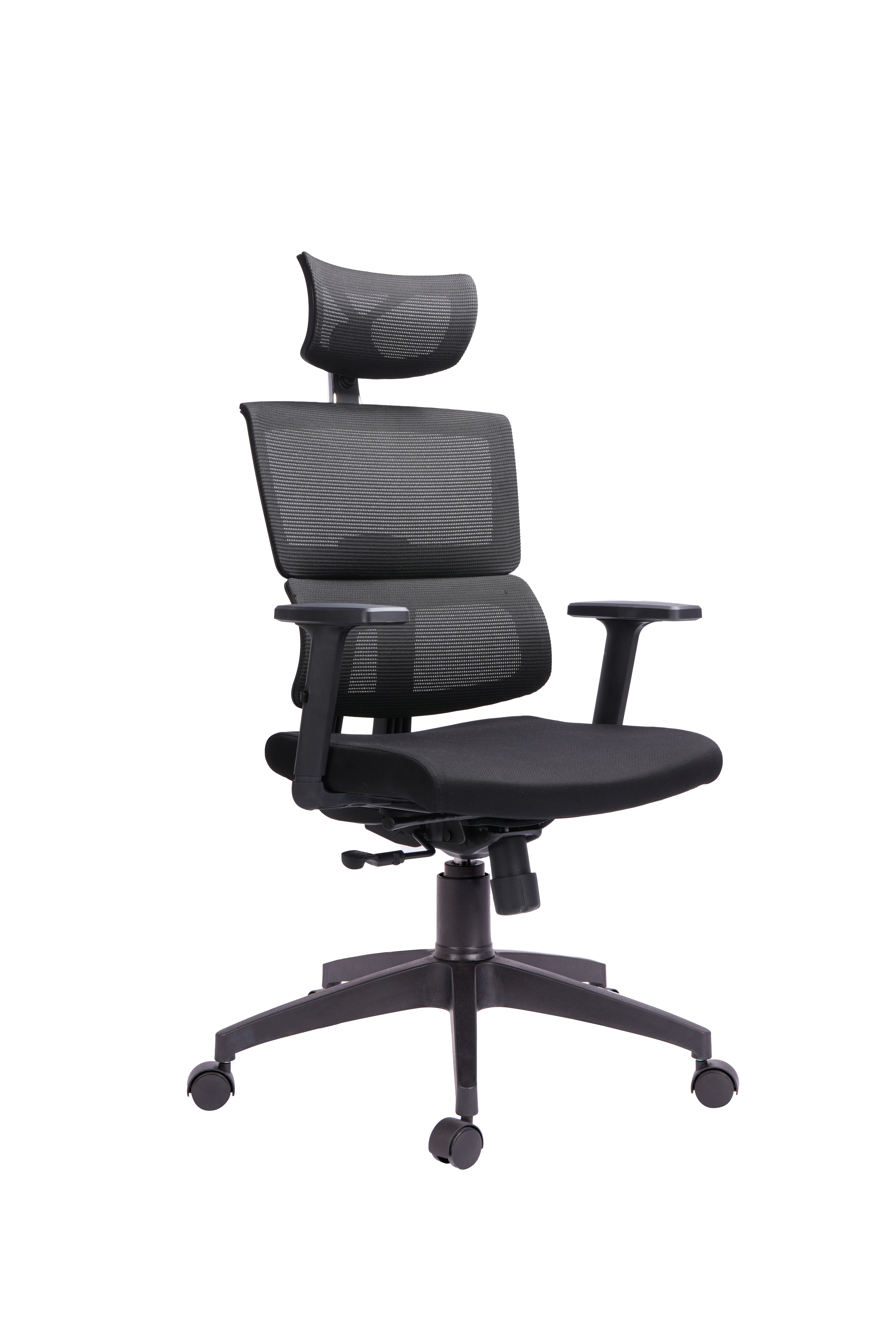 SILLA AUSTRALIA, fotografía 2